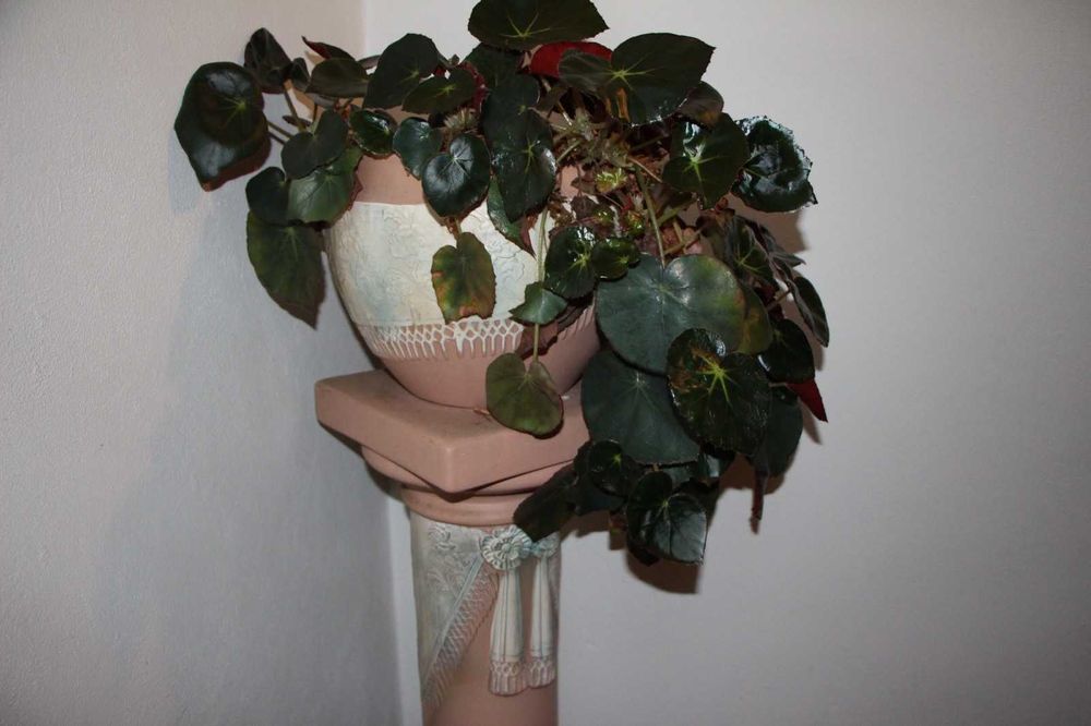 Conjunto de Vasos de cerâmica