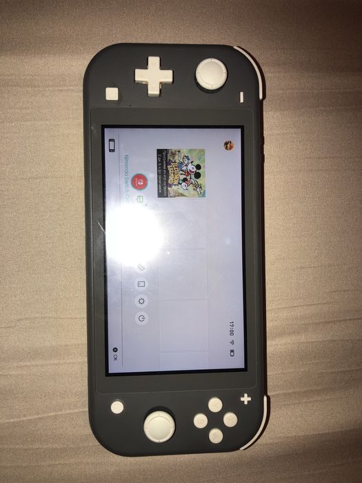 Nintendo Switch lite