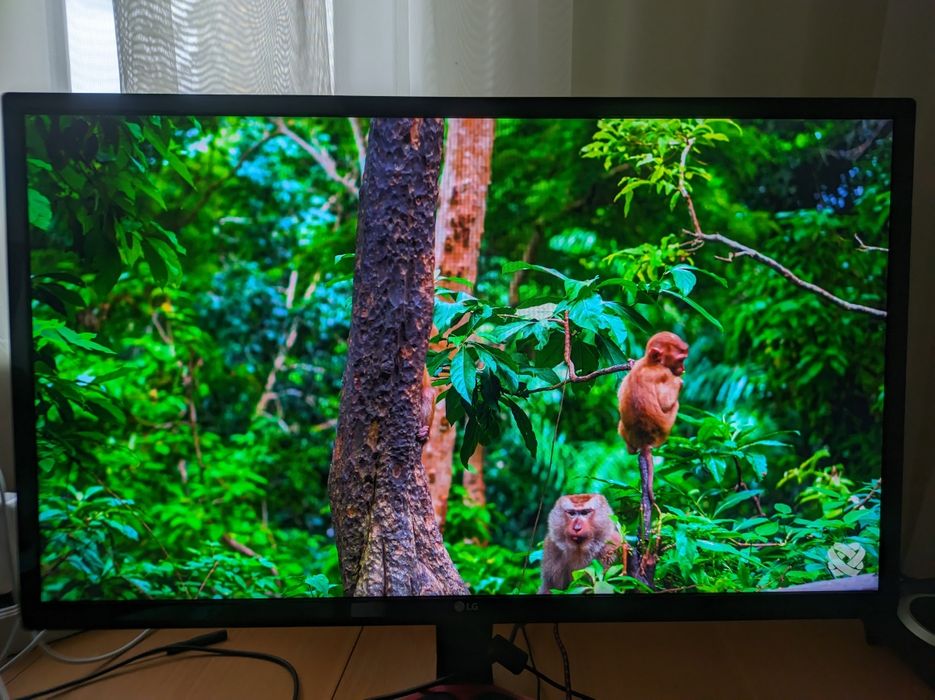 Монитор LG 24MP59G-P 75 ГЦ