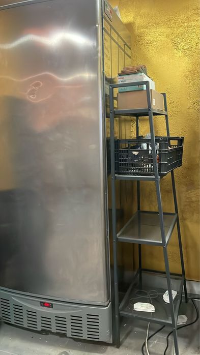 congelador industrial