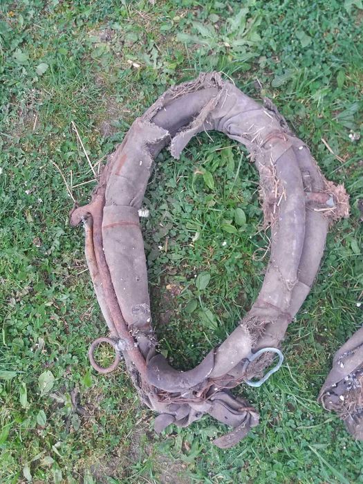Stare homonta duze i małe homonto Sulechów • OLX.pl