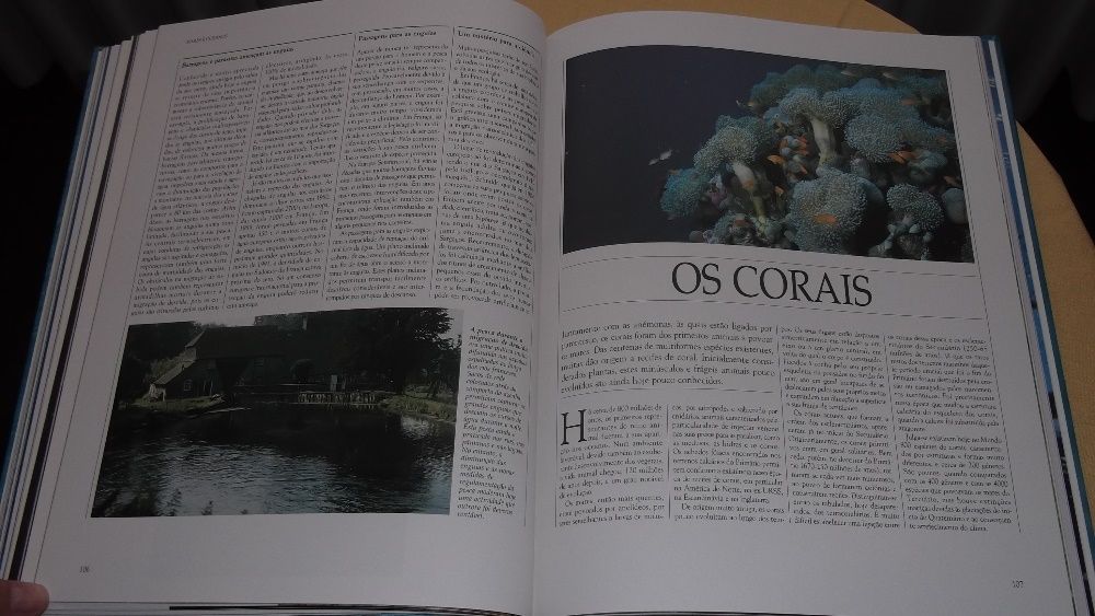 livro da Vida Selvagem Animais dos Mares e Oceanos