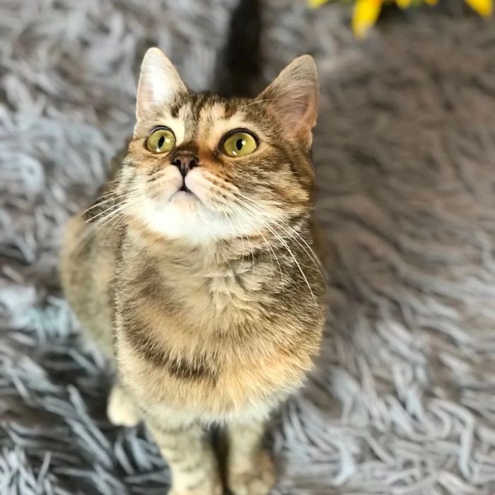 Отдам бесплатно!!