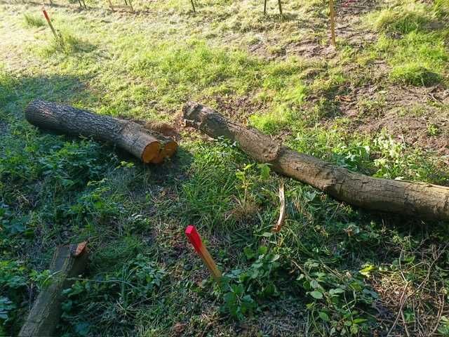 Kompleks Działek Budowlanych z dostępem do Jeziora OSTROWICKIEGO