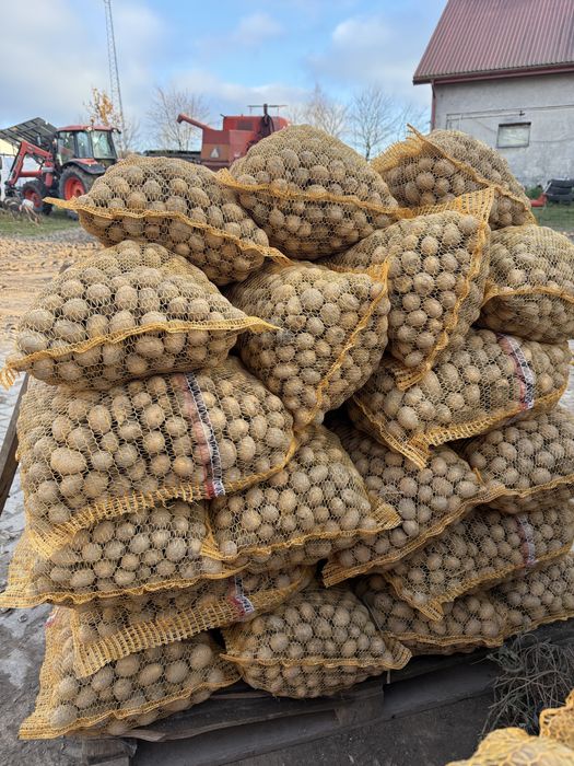 Ziemniaki żółte smaczne