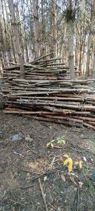 Sprzedam drewno opałowe