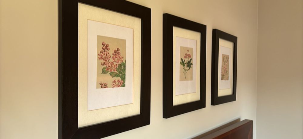 Quadros IKEA moldura preta com flores