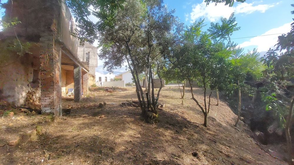 Terreno com casa em ruinas