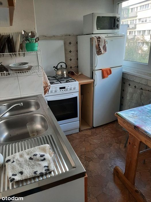Sprzedam udział 1/2 w lokalu M3 Teofilów Rojna