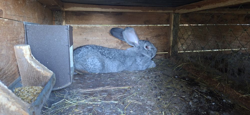 Самчик 6 місяців