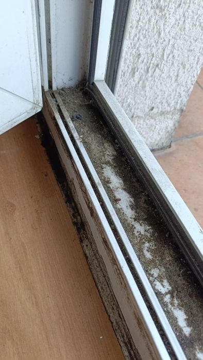 Masz dość sprzątania po pracy? Pomogę – wolne terminy