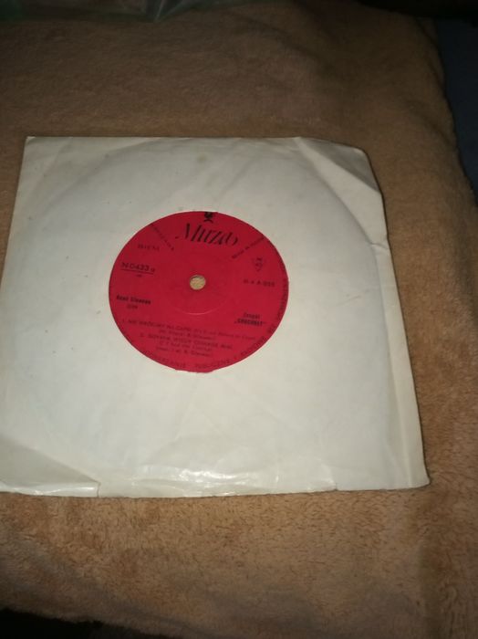 Płyta winylowa singiel Chochoły