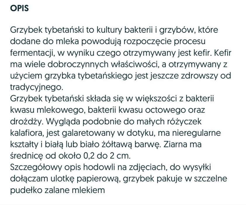 Grzybek tybetański