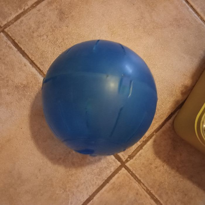 Vários acessórios de hamster