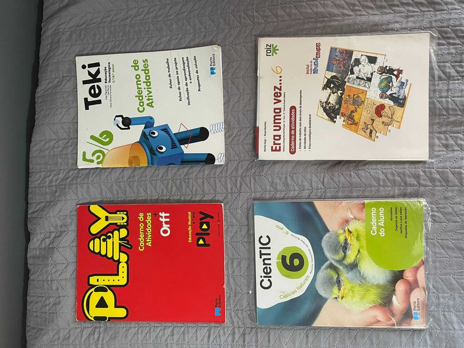 Livros de Fichas / Cadernos de Atividades - 6º Ano
