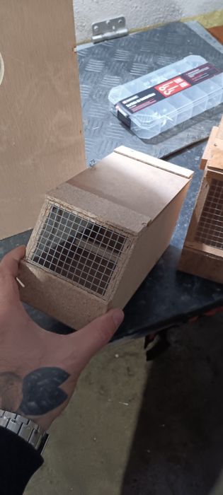 Ninhos,transportadoras varias medidas e gaiolas