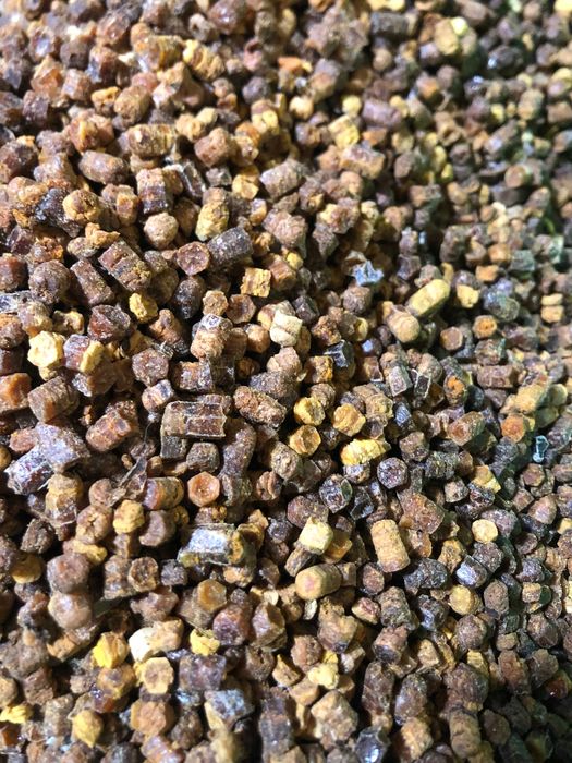 Pyłek pszczeli kwiatowy propolis pierzga hurt detal