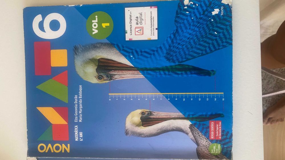 Manuais escolares e cadernos atividades 6ºano