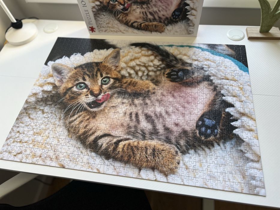 Puzzle 1000 Wesoły kotek 10448 Trefl kompletne