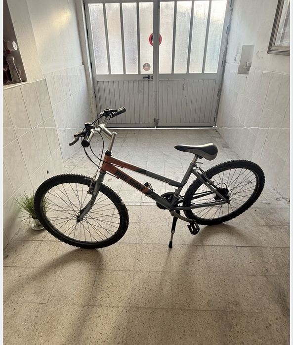 Bicicleta Team Pro 4210