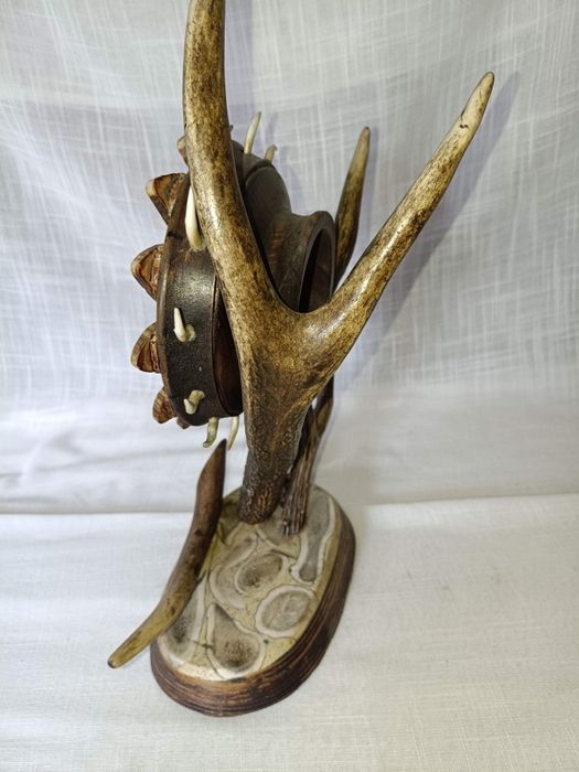 Poroże jelenia zegar trofeum