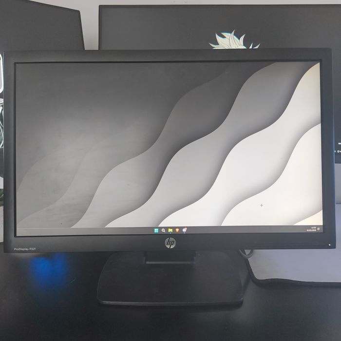 Monitor HP ProDisplay P221 21,5" Full HD