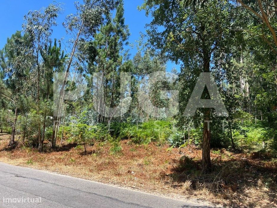 Oportunidade única em Vila Maior - Terreno com 1619m2 e óptima loca... — Canedo, Vale E Vila Maior, Aveiro