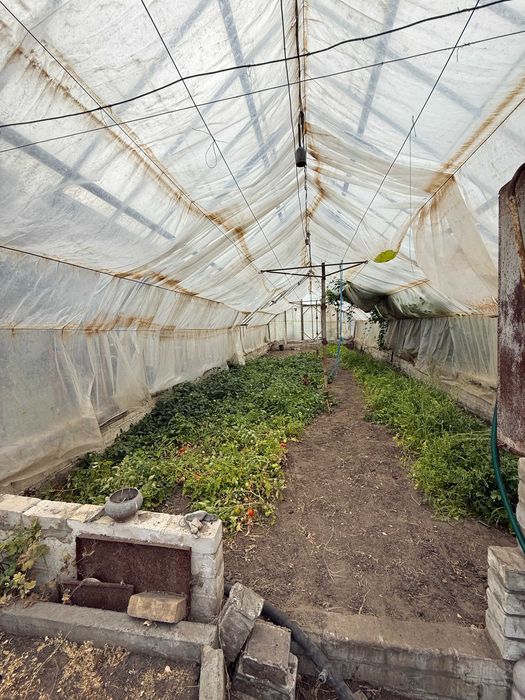 Продаж домоволодіння з двома будинками для великої родини в с. Вергуни