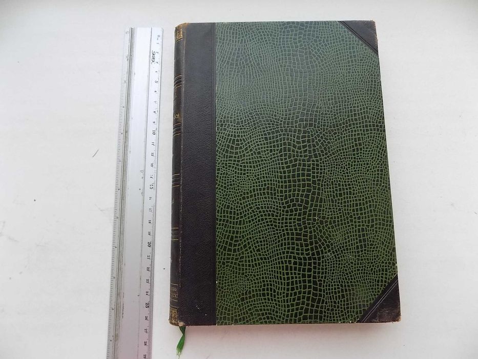 Flora des Oesterreichischen Kustenlandes von Eduard Pospichal 1899