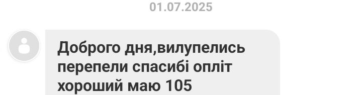 Інкубаційне яйце перепелів породи Смокінг, Техас та Селадон