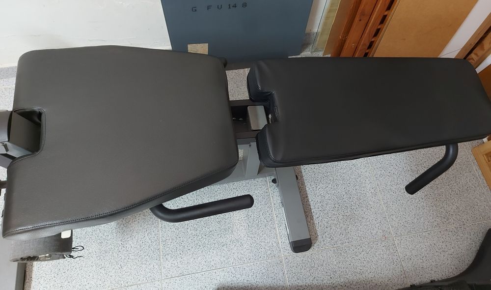 Cadeira de extensão e flexão