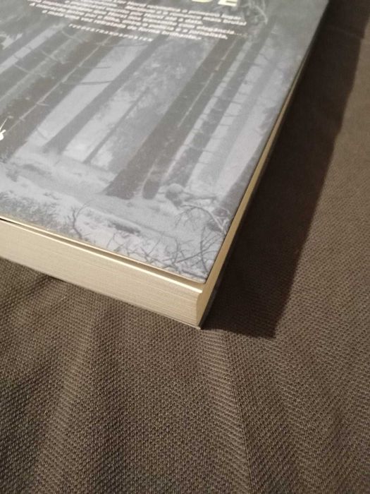 Livro | Maldade – Jørn Lier Horst (Dom Quixote)