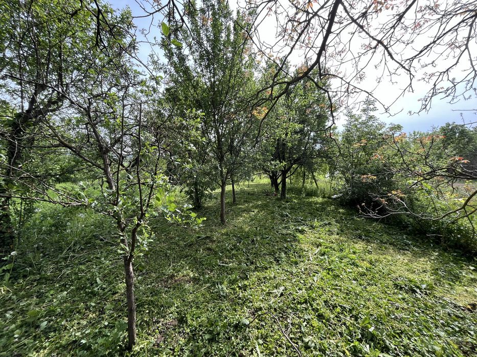 Продам будинок 112 м2 приват ділянка 24 сот Берегівський р-н село Великі Береги