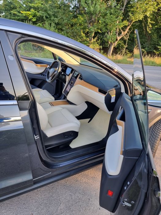 Тесла Х Tesla X 100 з Нідерландів Intel