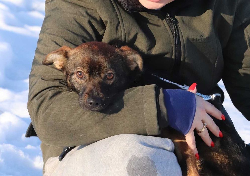 Xemira – mała iskra radości