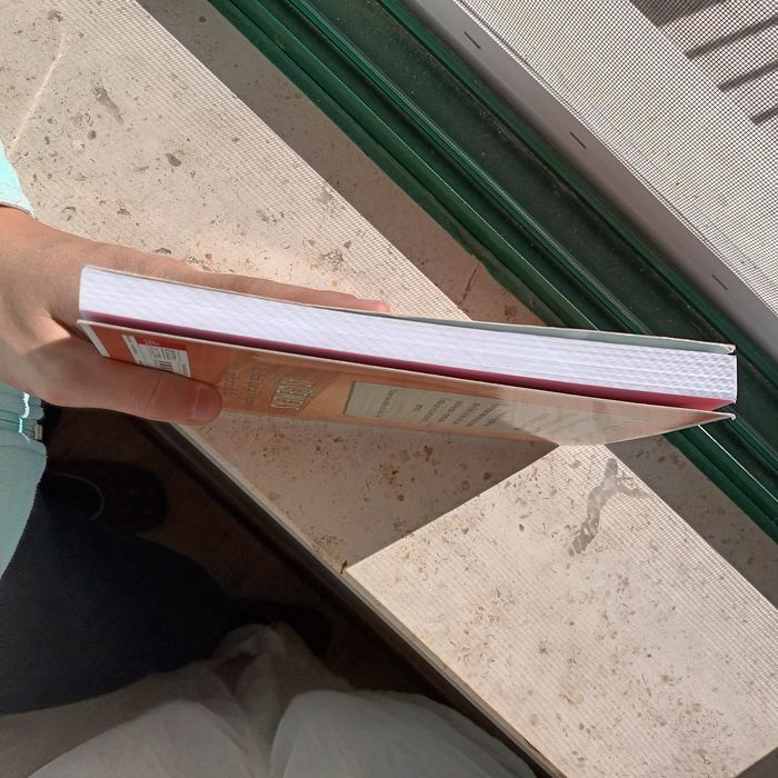 Livro 5- As Gémeas