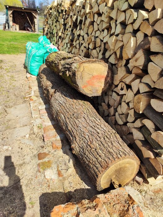 Dębowe kłody 2.5m/1.25m