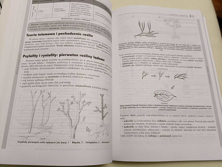 Repetytorium maturzysty biologia wyd Greg 2010
