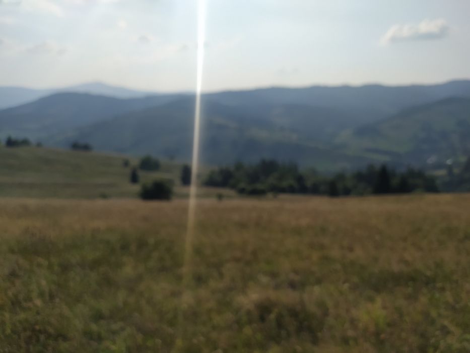 Мед стільниковий, гірський