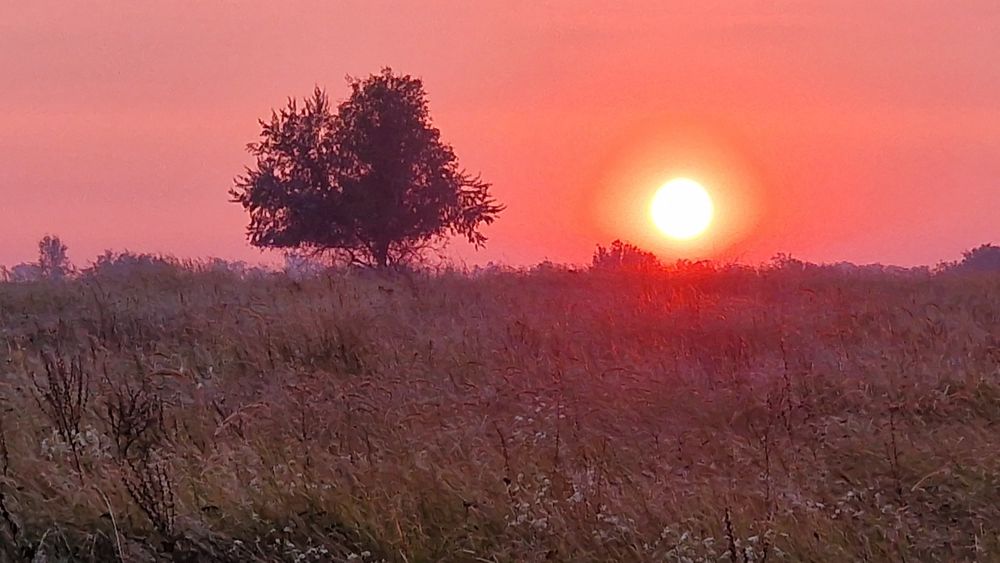 Аренда под мероприятия ДЕПОЗИТ  Чан,Бассейн  , баня