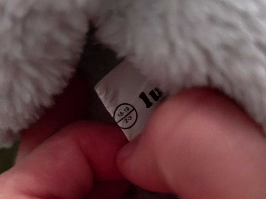 Niechodki zimowe 18/19