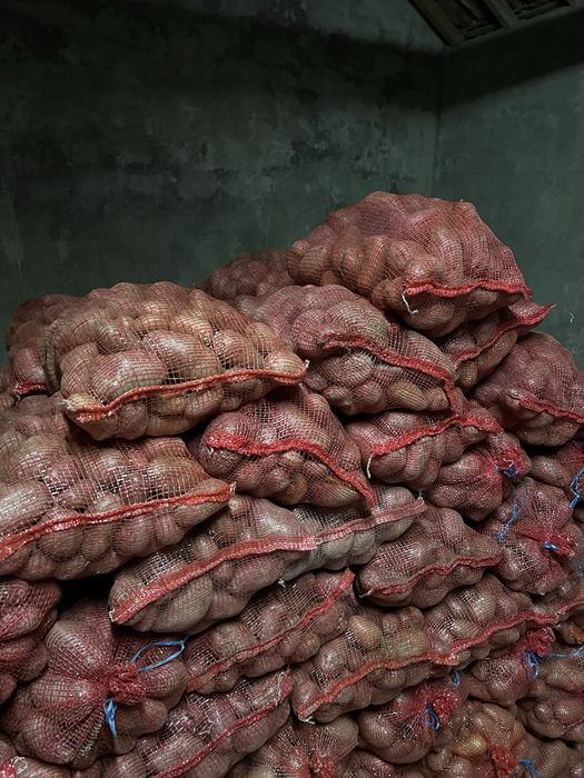 Batata Manitou, saco 20 kg