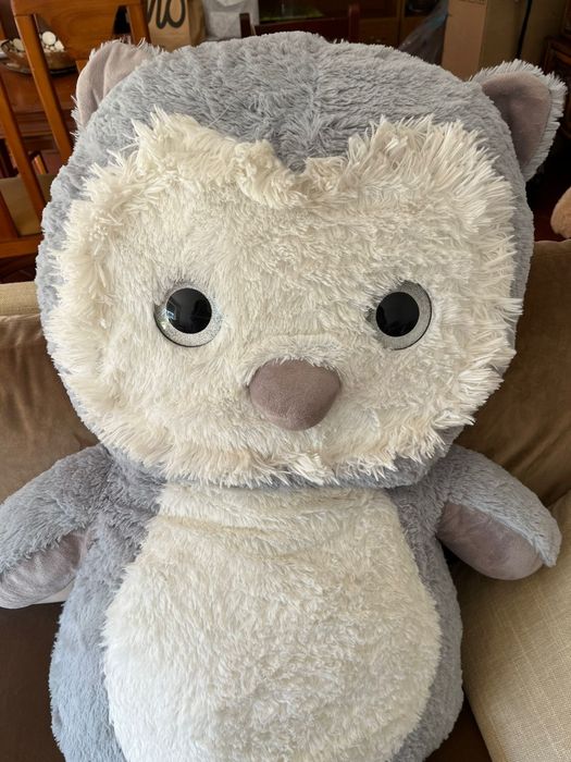 Peluche da coruja