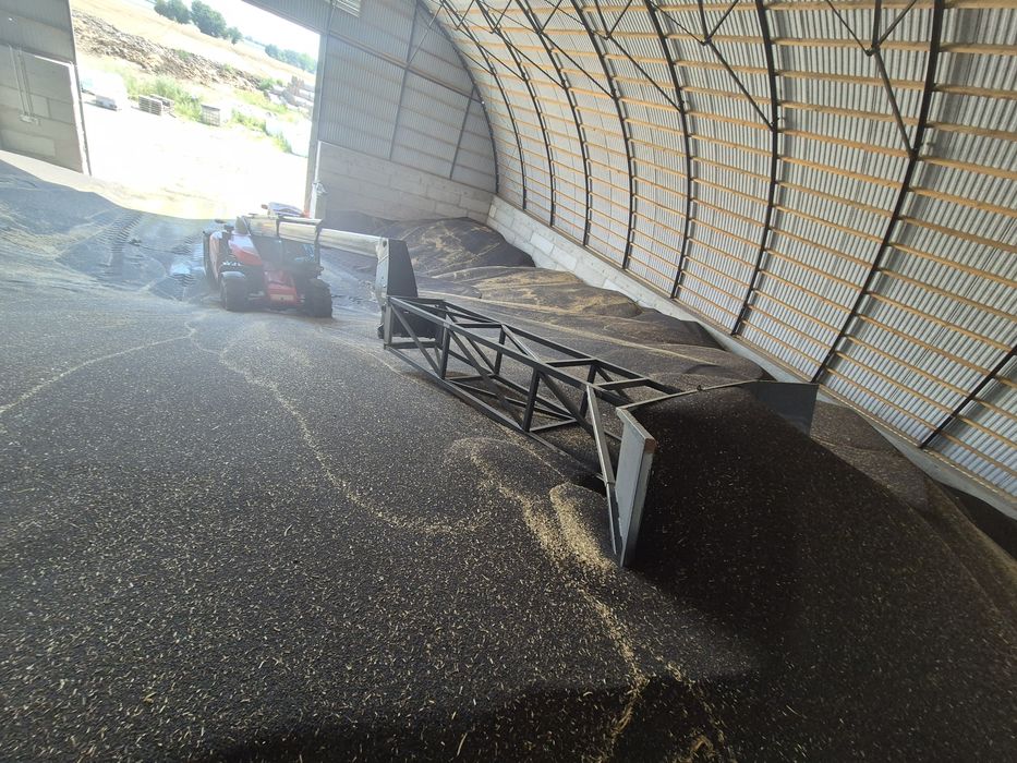 Skup zboża, siew kukurydzy rzepaku owies, pszenica, żyto, wapno, RSM,