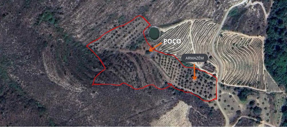 Terreno agrícola no Douro- 1,1 ha com poço, armazém e árvores de fruto