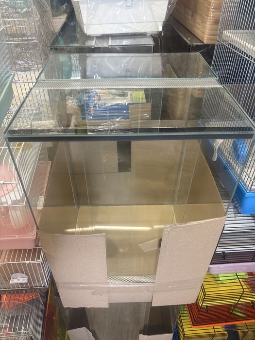 Terrarium szklane 40x40x60wys dla np. Gekona orzęsionego Pionowe Nowe!
