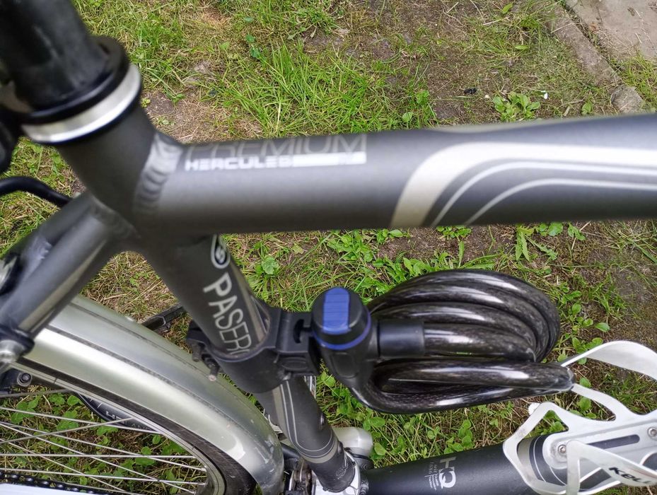 Rower męski Hercules Premium Pasero