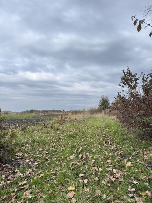 Продаж ділянки в с.Оброшине (під будівництво).