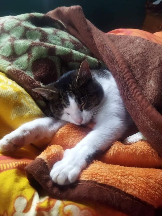 Zima z Agroturystyką TEOSIOWO-Góry Izerskie