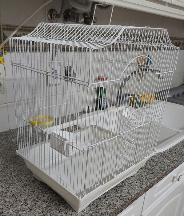 GAIOLA AVES PEQUENO PORTE PRONTA A USAR. Casa,Cozinha,Varanda,Cozinha.